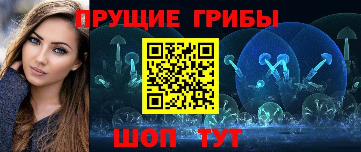 Псилоцибиновые грибы GOLDEN TEACHER  Вход с VPN  Камышин 