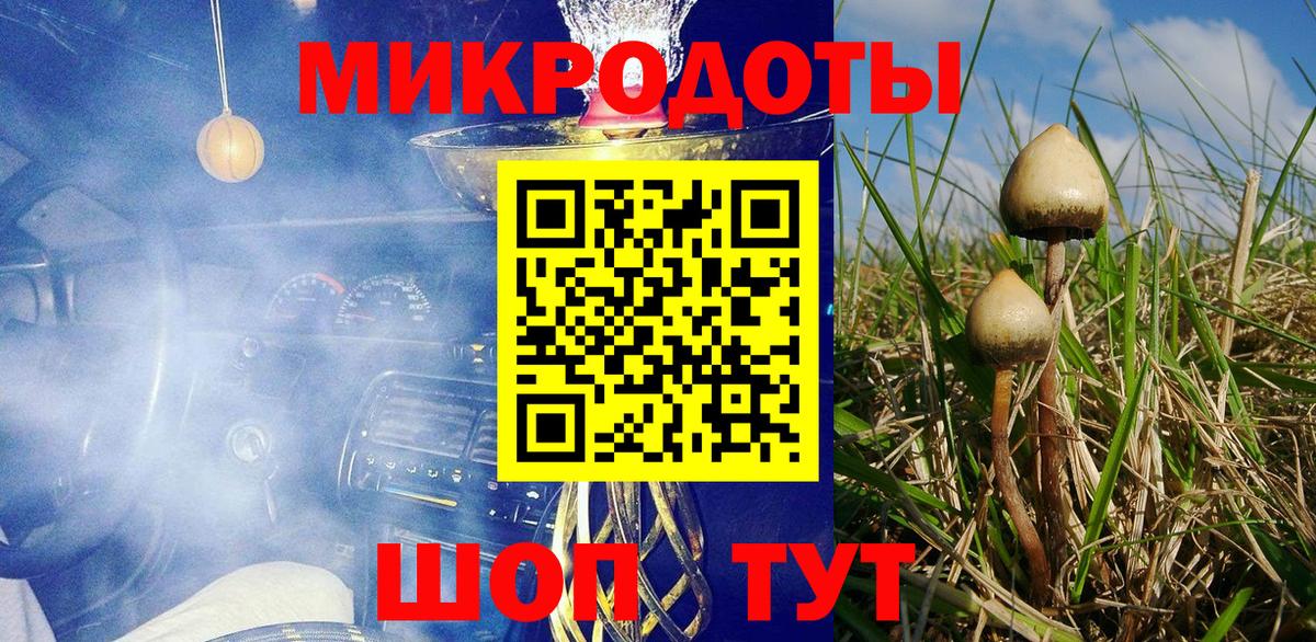 Галлюциногенные грибы Cubensis Камышин